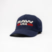 Independence Day Hat