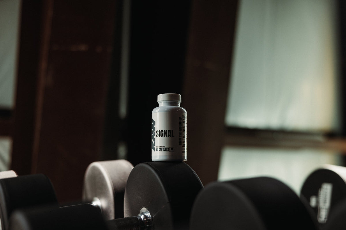 What Can you Gain from Signal? | RAW Nutrition – Get Raw Nutrition
