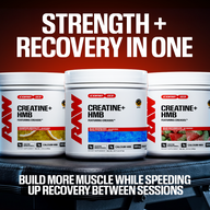 Creatine + HMB