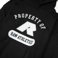 Collegiate Hoodies